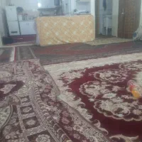 تشک پیدا شده