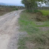 فروش ۲۳۰۰ متر زمین کشاورزی فقط متری ۲۰۰ هزار تومن|فروش دفتر صنعتی، کشاورزی، تجاری|گوراب زرمیخ, |دیوار