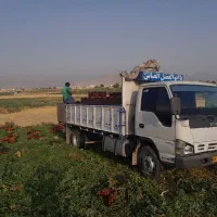 ایسوزو 8تن 90|خودرو سنگین|بهبهان, |دیوار