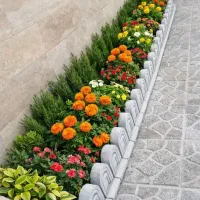 باغبانی سمپاشی گل کاری سم پاشی هرس تعویض خاک وگدان|خدمات باغبانی و درختکاری|مشهد, وکیل‌آباد|دیوار