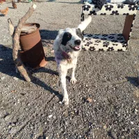 گمشده لطفاً اطلاع دهید