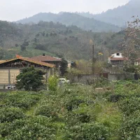 ۱۹۲ متری مسکونی|فروش زمین و ملک کلنگی|رانکوه, |دیوار