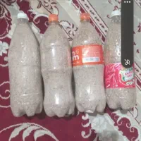 بذر کشاورزی