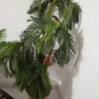 درختچه مصنوعی