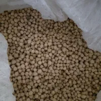 نخود آبی (شیرازی  )