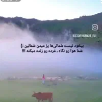 مژده مژده تور شمال