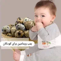 تخم بلدرچین تازه|خوردنی و آشامیدنی|نجفآباد, گلدشت|دیوار