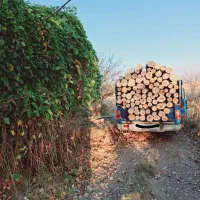 خریده چوبه قلمستان و همه جور چوبی