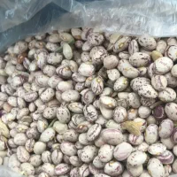 فروش لوبیا چیتی درجه یک|خوردنی و آشامیدنی|شیراز, آزادی|دیوار