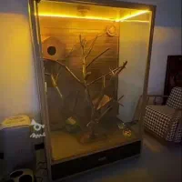 واگذاری پرنده