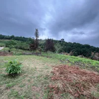 زمین ویودار،280 متر،مناسب کلبه چوبی|فروش زمین و ملک کلنگی|مرزیکلا, |دیوار