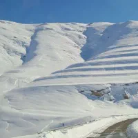 لوله بازکنی پردیس