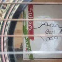 گیتار کورت|گیتار، بیس، امپلیفایر|پلدختر, |دیوار