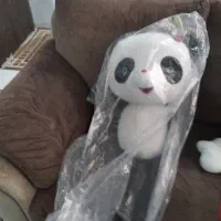 خرس پاندا یک ساتی متر