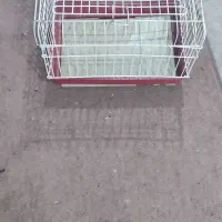 قفس خرگوش