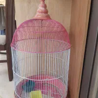قفس پرنده