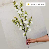 گل و گلدان|حراج|بندرعباس, |دیوار