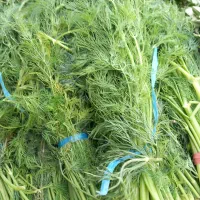 سبزی تازه - کلی - جزیی|خوردنی و آشامیدنی|تهران, افسریه جنوبی|دیوار