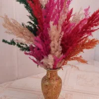 گل خشک|گل و گیاه طبیعی|فسا, |دیوار