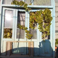 در چوبی قدیمی آنتیک مناسب دکور و بازسازی