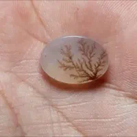 چند عدد سنگ انگشتر