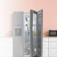 ساید بای ساید فرنیا اسنوا