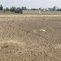 فروش زمین کشاورزی۲۰۰ متری در ماهدشت|فروش زمین و ملک کلنگی|کرج, حصارک بالا|دیوار