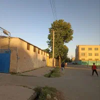 سوله-تولیدی