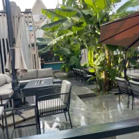 استخدام نیروی ظرف شور