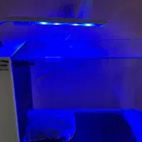 امواریوم دلسا B103|ماهی|ساری, |دیوار