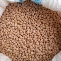 نخود درشت کرمانشاه