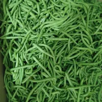 لوبیا سبز تحویل رایگان