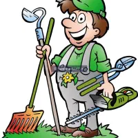 کار باغبونی و ....|خدمات باغبانی و درختکاری|بندر ماهشهر, |دیوار