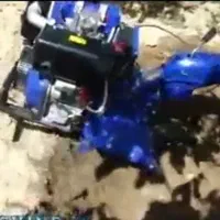 سله شکنی وشخم