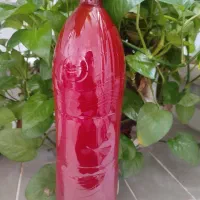 فروش رب گوجه|خوردنی و آشامیدنی|نی‌ریز, |دیوار