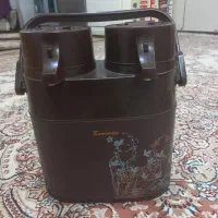 فلاکس دوقلو