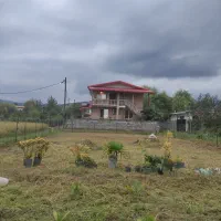 علف زنی کاشت گل تعویض گلدان وجین