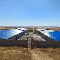 رنگ آمیزی و نقاشی صنعتی وخانگی|خدمات پیشه و مهارت|کرمانشاه, |دیوار