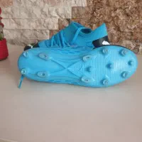 کفش ورزشی|ورزشهای توپی|پرند, فاز ۴|دیوار