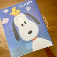 چند مورد دفتر