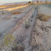 باغ فروشی تقاب