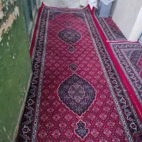 قالی و کناره و پشتی سالم فروش فوری