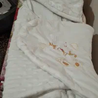 قنداق فرنگی و سویسی