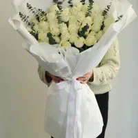 دسته گل رز هلندی، فروش ویژه، تخفیفی|گل و گیاه طبیعی|شیراز, گود عربان|دیوار