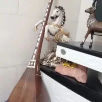 دوتار دزدیده شده