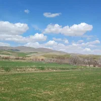 مدارک گم شده...