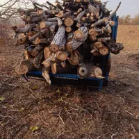 چوب بری|خدمات باغبانی و درختکاری|صوفیان, |دیوار