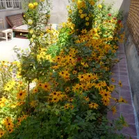 خانه شیک و نوساز فول امکانات و همکف  در خلخال