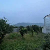 فروش-زمین-300-متری-با-قیمت-استثنایی