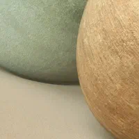 قبول سرویس رفت و امد